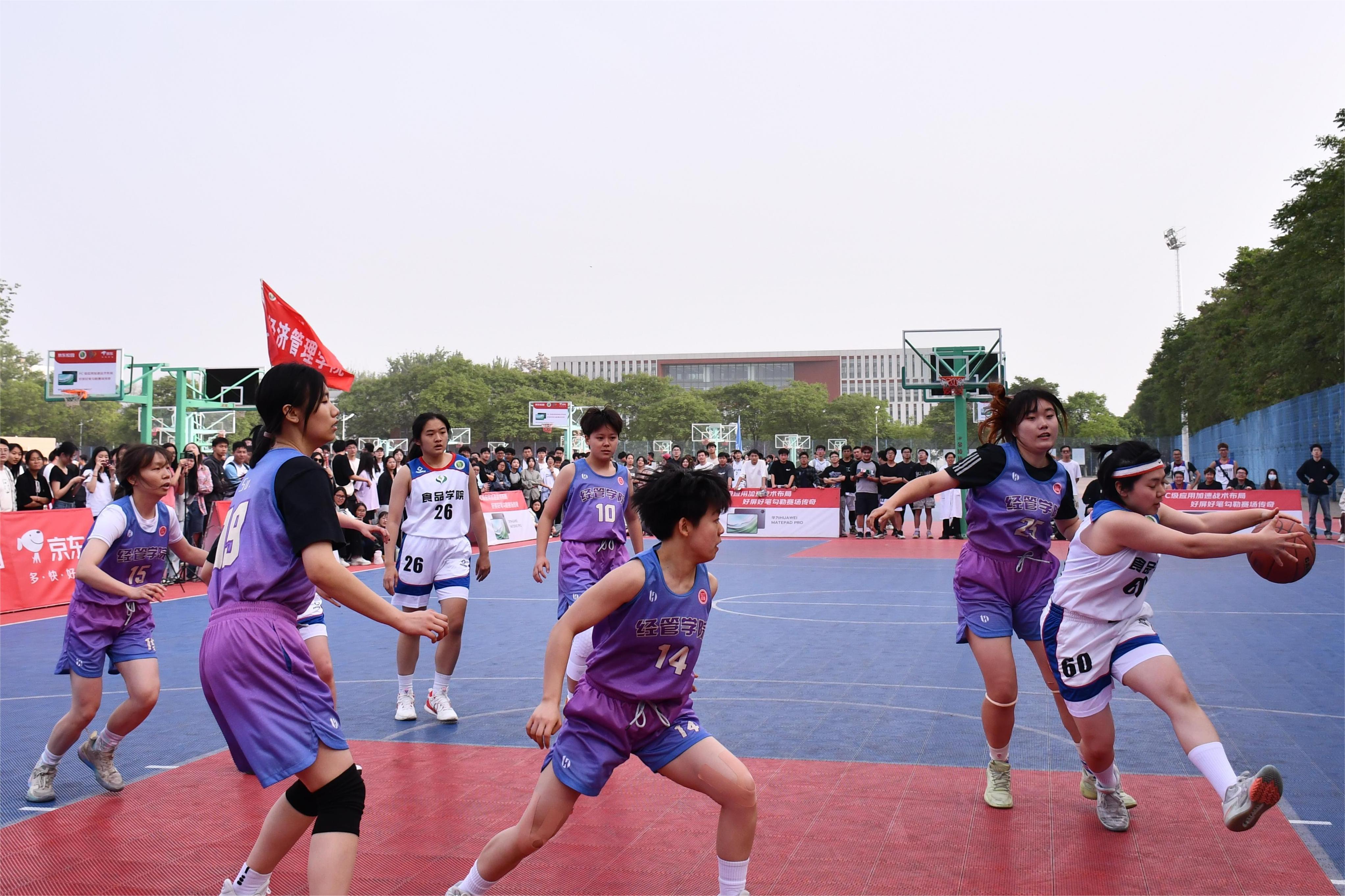 DSC_1146.JPG