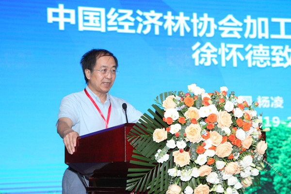 中国经济林协会加工利用分会会长、公司WilliamHill中文官方网站教授徐怀德致辞_副本.jpg