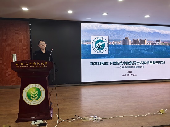顾欣教授作报告.jpg