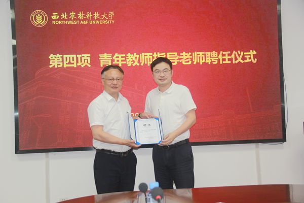 聘任陆柏益指导教师_副本.jpg