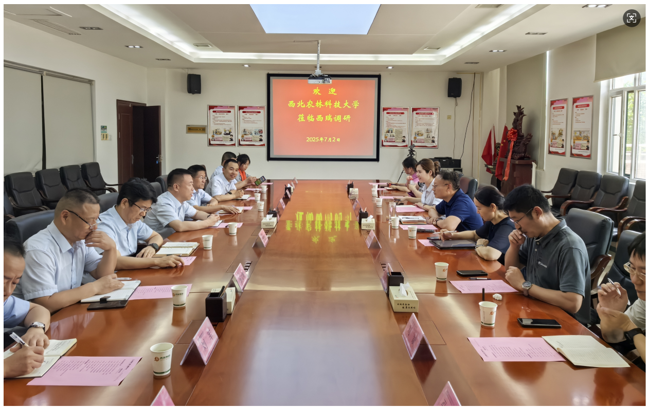 QQ图片20250704182435.png