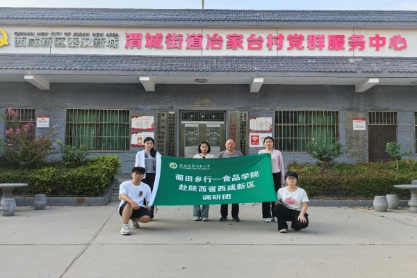 调研团合影.jpg