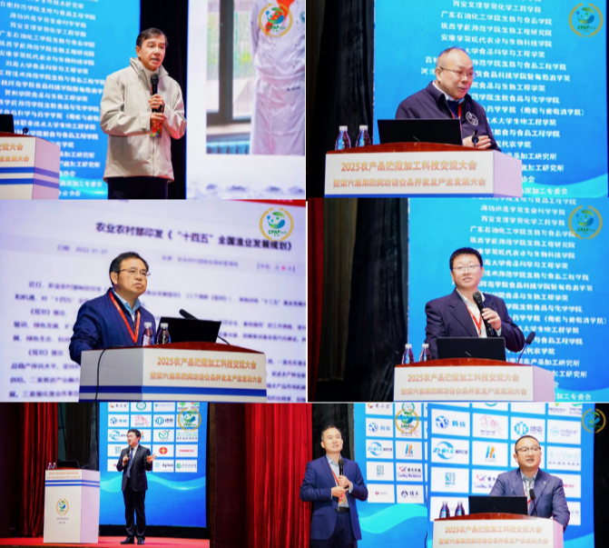 图片10.png