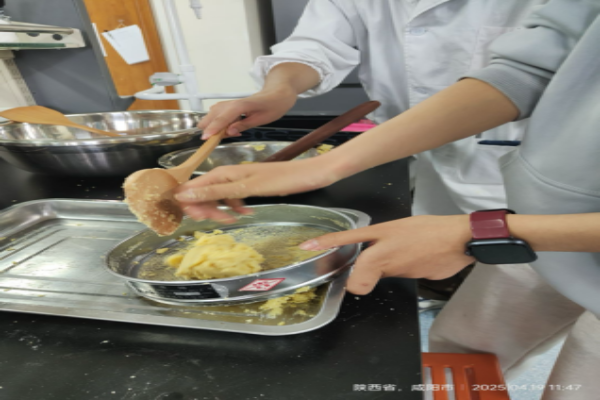 d22cdde5-2e37-457a-b47e-c90f6c8e230d_副本.png