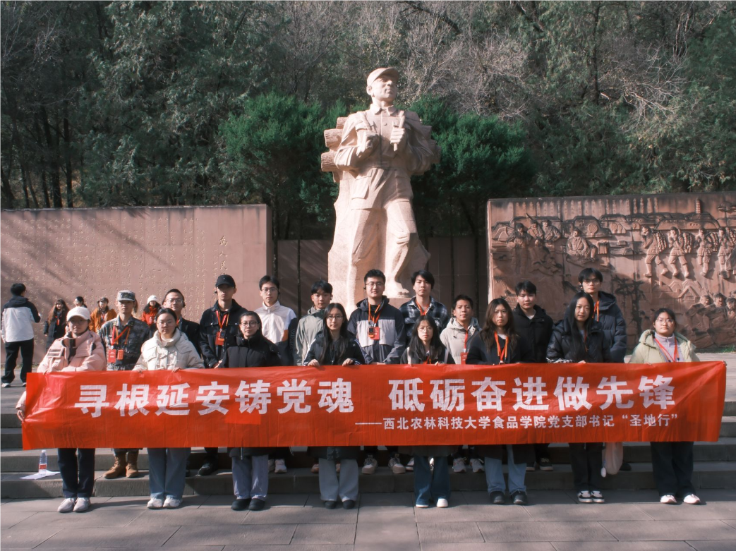 QQ_1762853157365.png