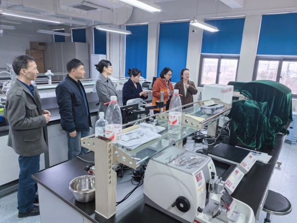 IMG_20260325_150237_副本.jpg