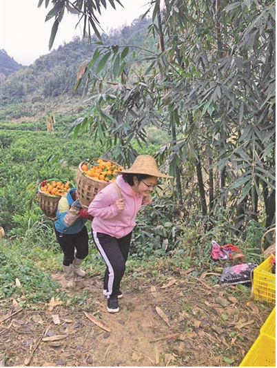7d2d7c4f2fcd4878b7e0fe83dbe7f51e.png QQ截图20201218121348.png