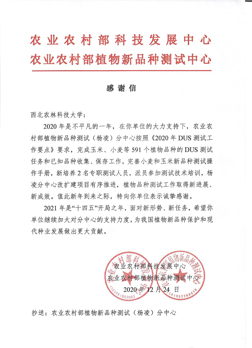 55890cbf758644fd8f0b14dc01db1d15.png 图片000.png