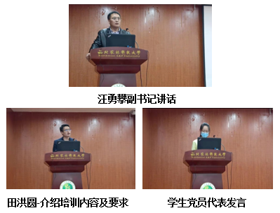 d70d9147f95c40ed944eb9d39a91735e.png image.png
