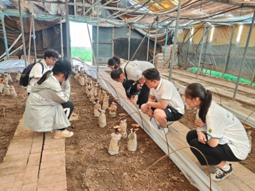 6c11d6cfe1994aaeaf8730148a408933.jpg 成员观察灵芝.jpg